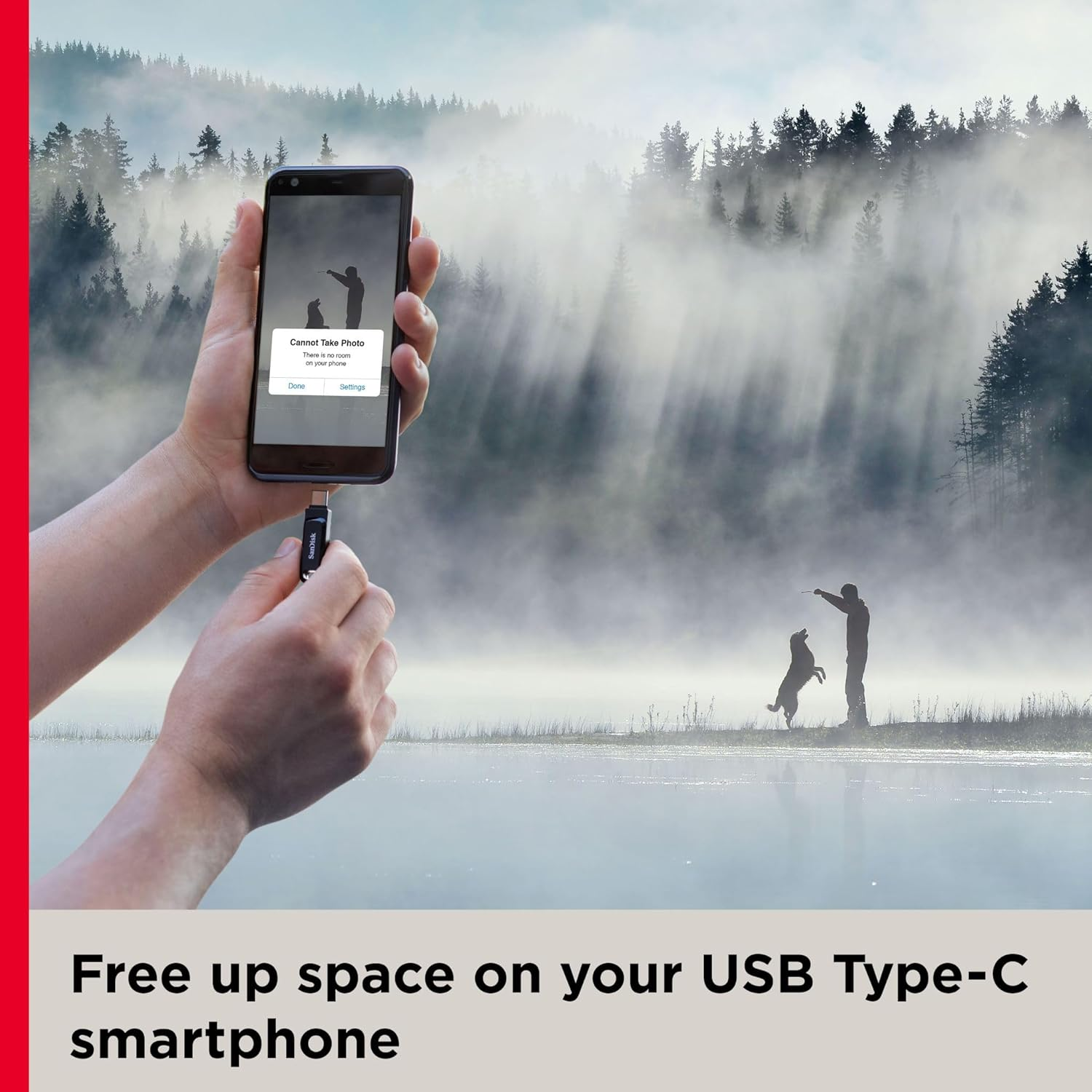 SanDisk Portable